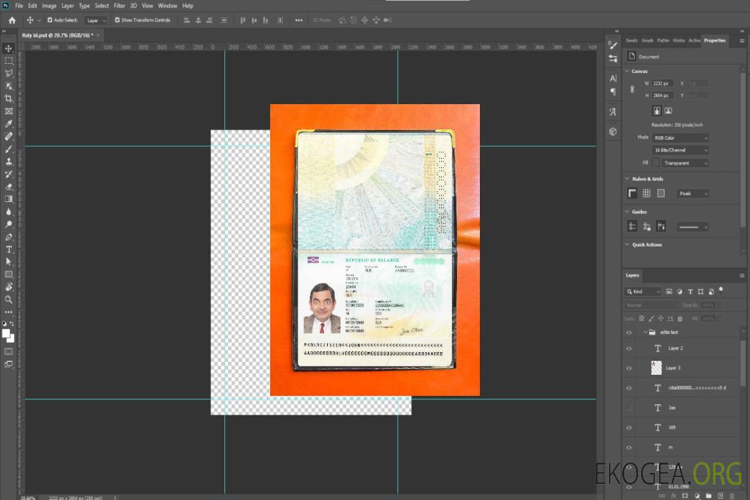 Aperçu photo du Pass Biélorussie (2020-présent) template